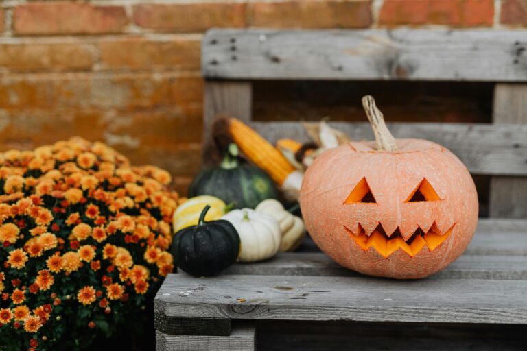 pumpkins and a jack o' lantern on a wooden bench, next to yellow flowers in front of a brick wall