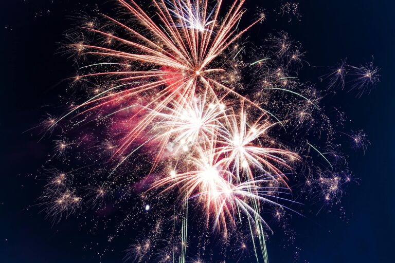 fireworks in the night sky