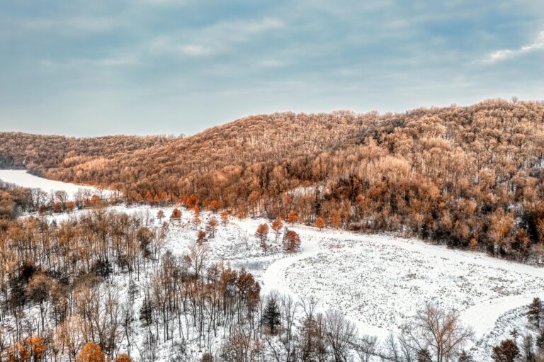 snowy hills in Minnesota